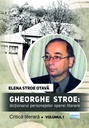 [978-606-001-492-8] Gheorghe Stroe: Dicționarul personajelor operei literare. Volumul I