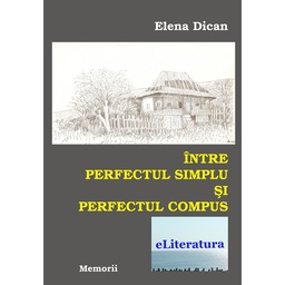 [978-606-700-084-9] Între perfectul simplu și perfectul compus